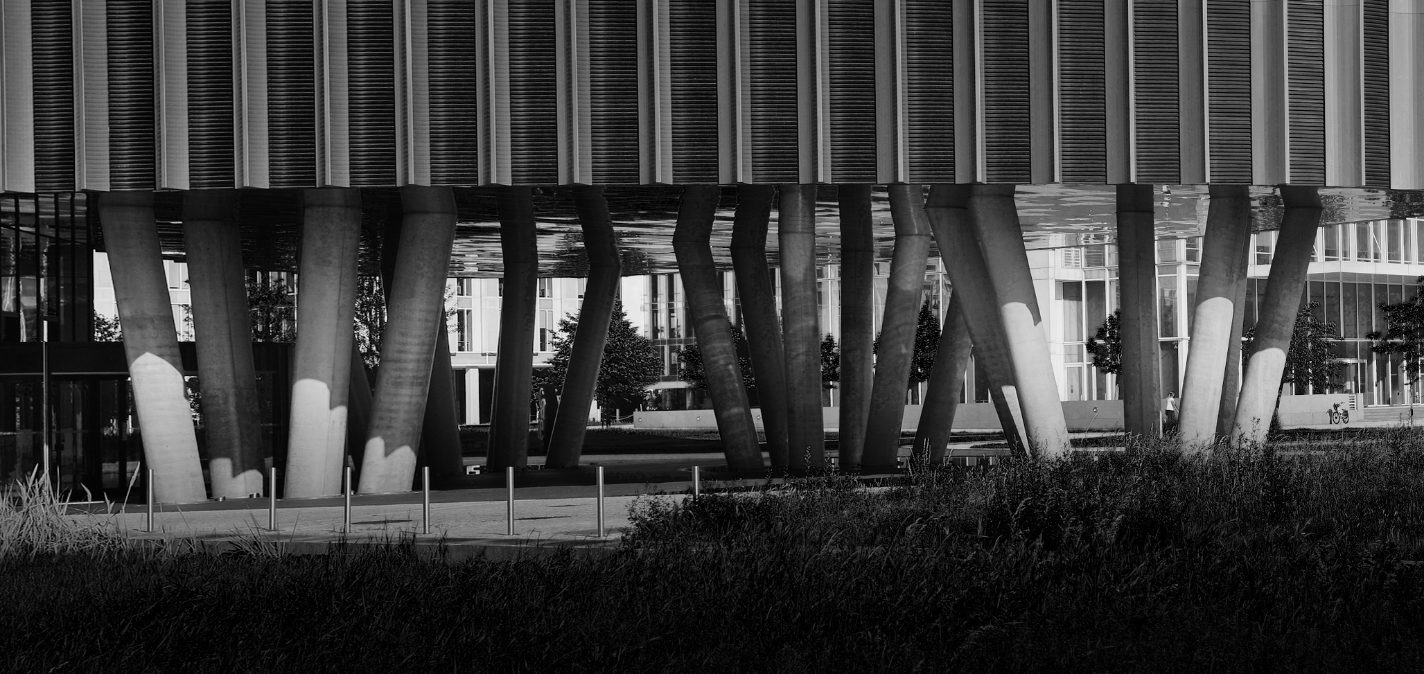 Architektura — 05 Stromy