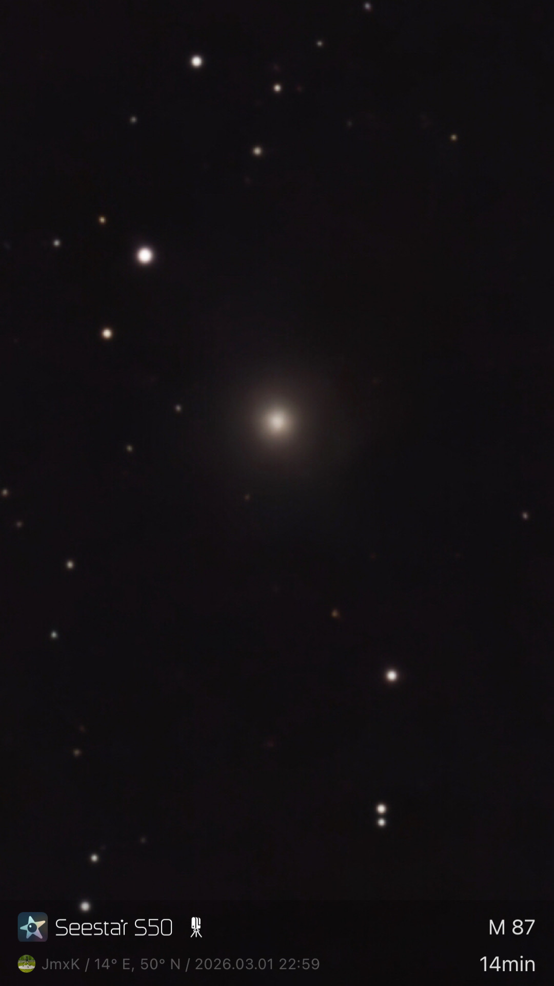 M 81 99 2